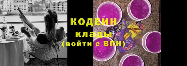 молекула духа Гусев