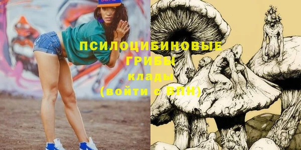 спайс Горнозаводск