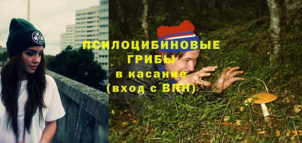 молекула духа Гусев