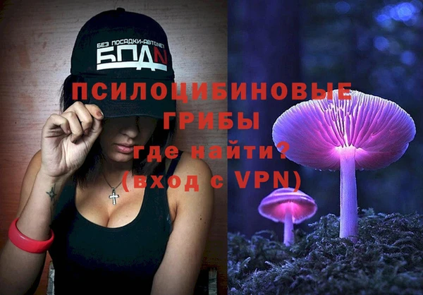молекула духа Гусев