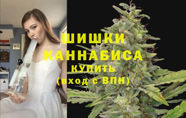 MDMA Premium VHQ Гусиноозёрск
