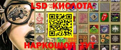 прущие грибы Анапа