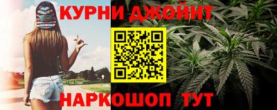 прущие грибы Анапа