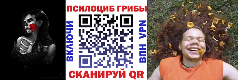 купить наркоту Краснотурьинск Псилоцибиновые грибы MAGIC MUSHROOMS