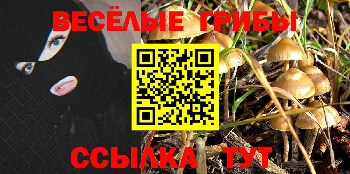 Краснотурьинск  Псилоцибиновые грибы GOLDEN TEACHER  Вход с VPN 